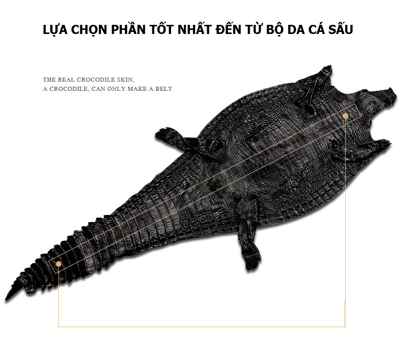 Dây thắt lưng khóa lỗ không mặt da cá sấu KS3800