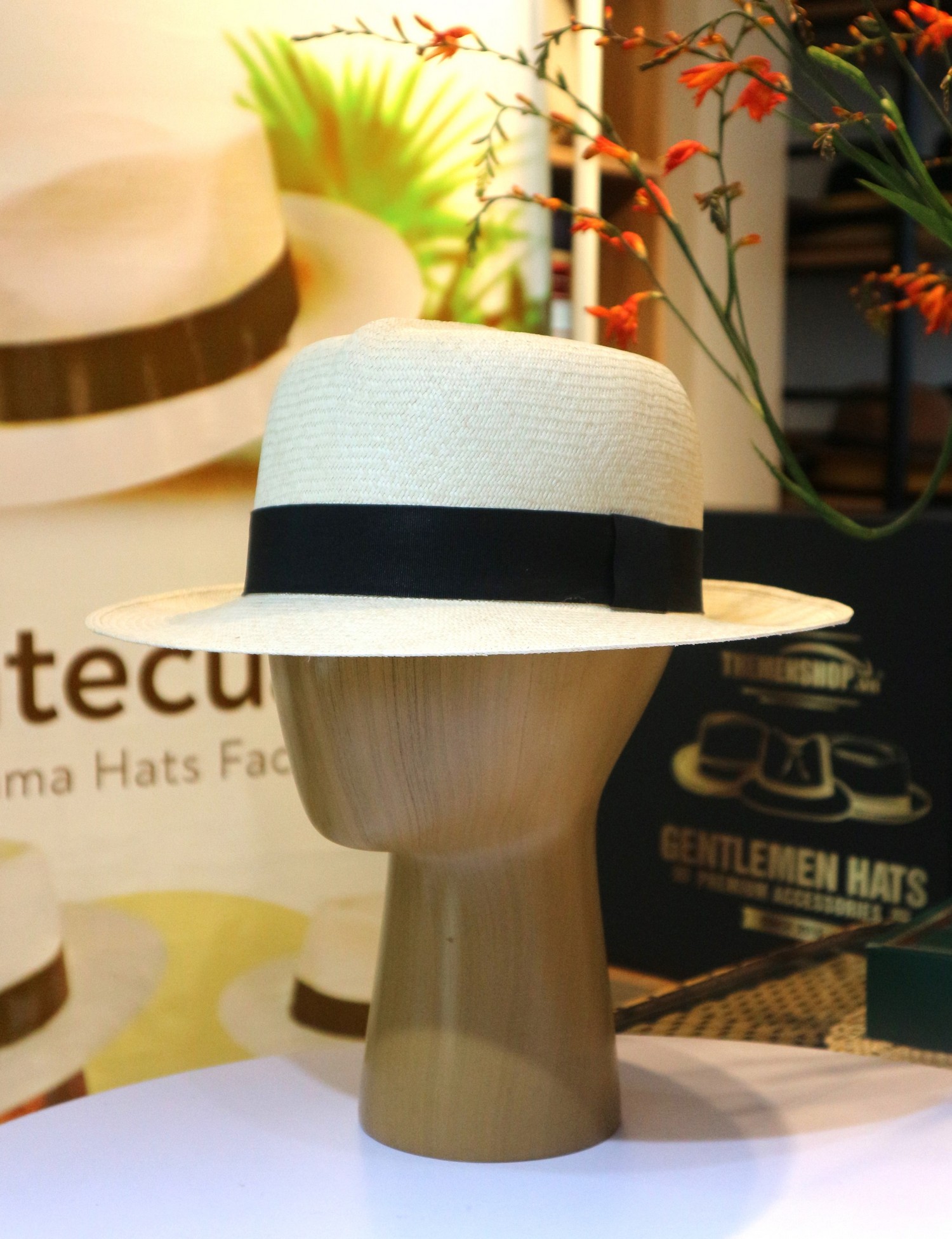 Mũ panama Ecuador hiệu MontEcuadorHats PE19