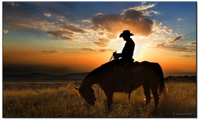 Mũ phớt nam cao bồi Mỹ cao cấp MP037