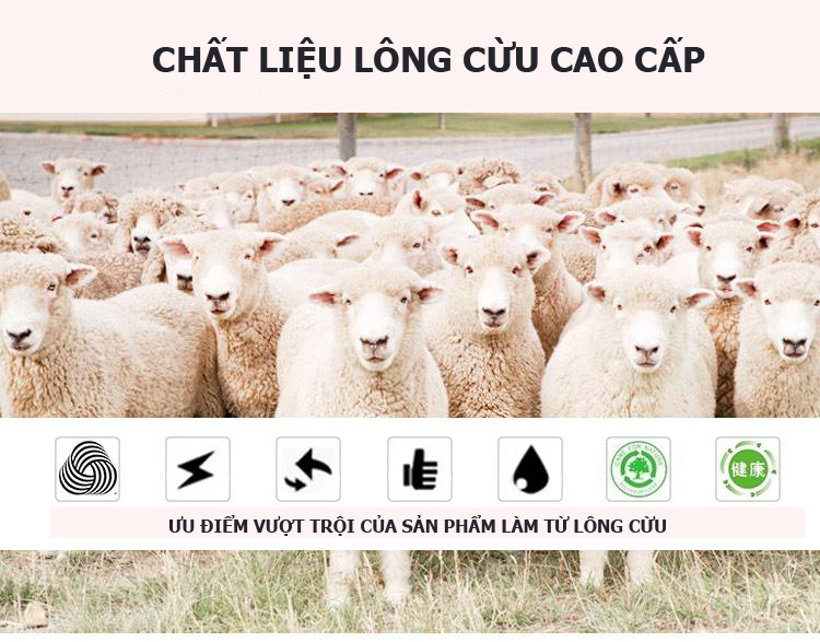 Mũ phớt nam trung niên lông cừu cao cấp MP018