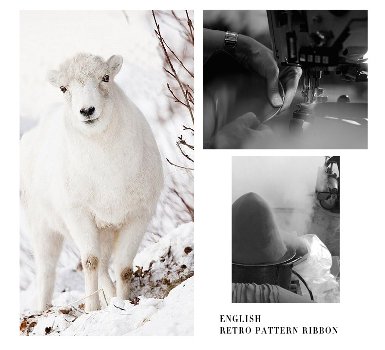 Mũ phớt len lông cừu hiệu Mr Duck vành 6.5cm MP039