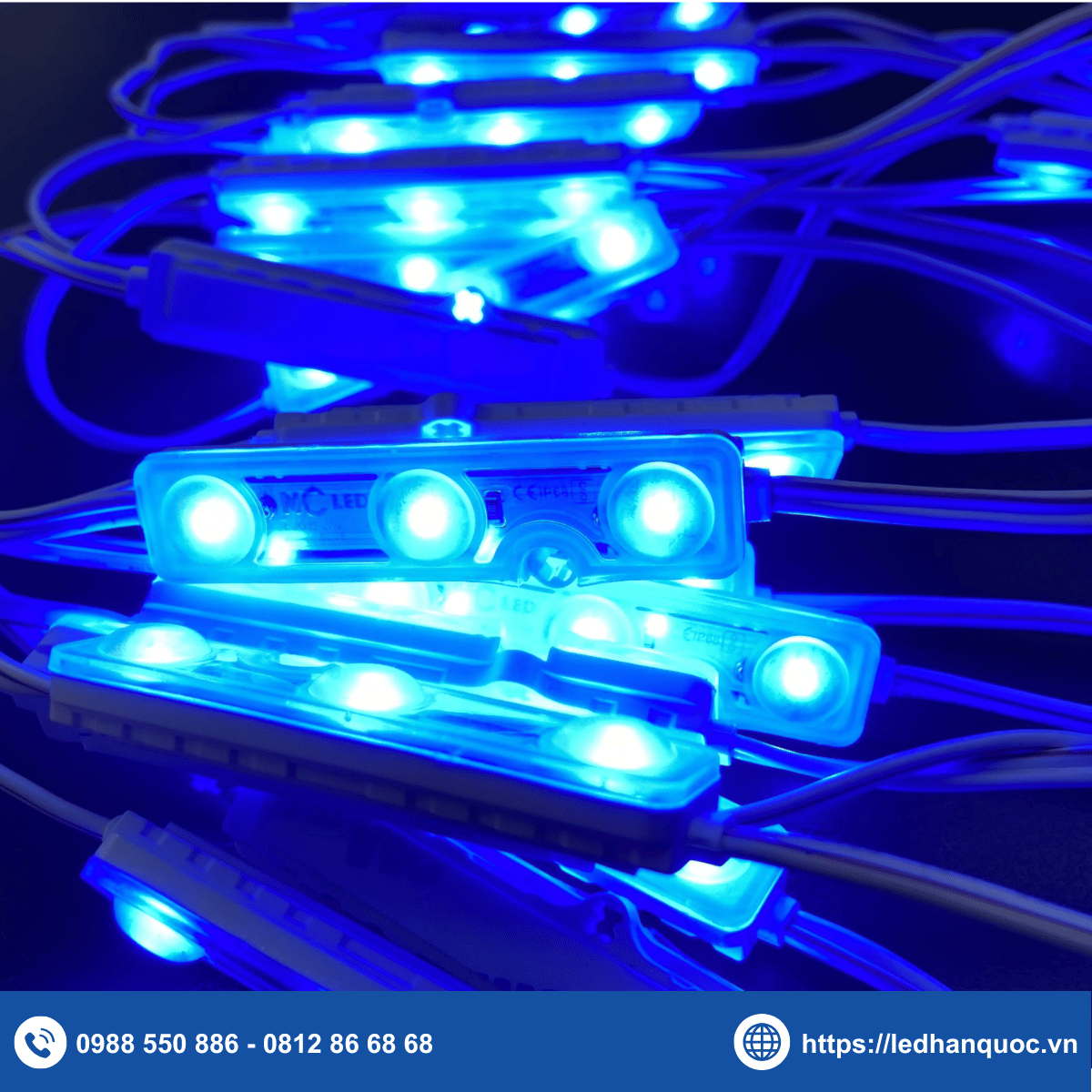 Module LED 3 bóng NC-ECO3S-LW2-BLUE (chip LED TC2835)