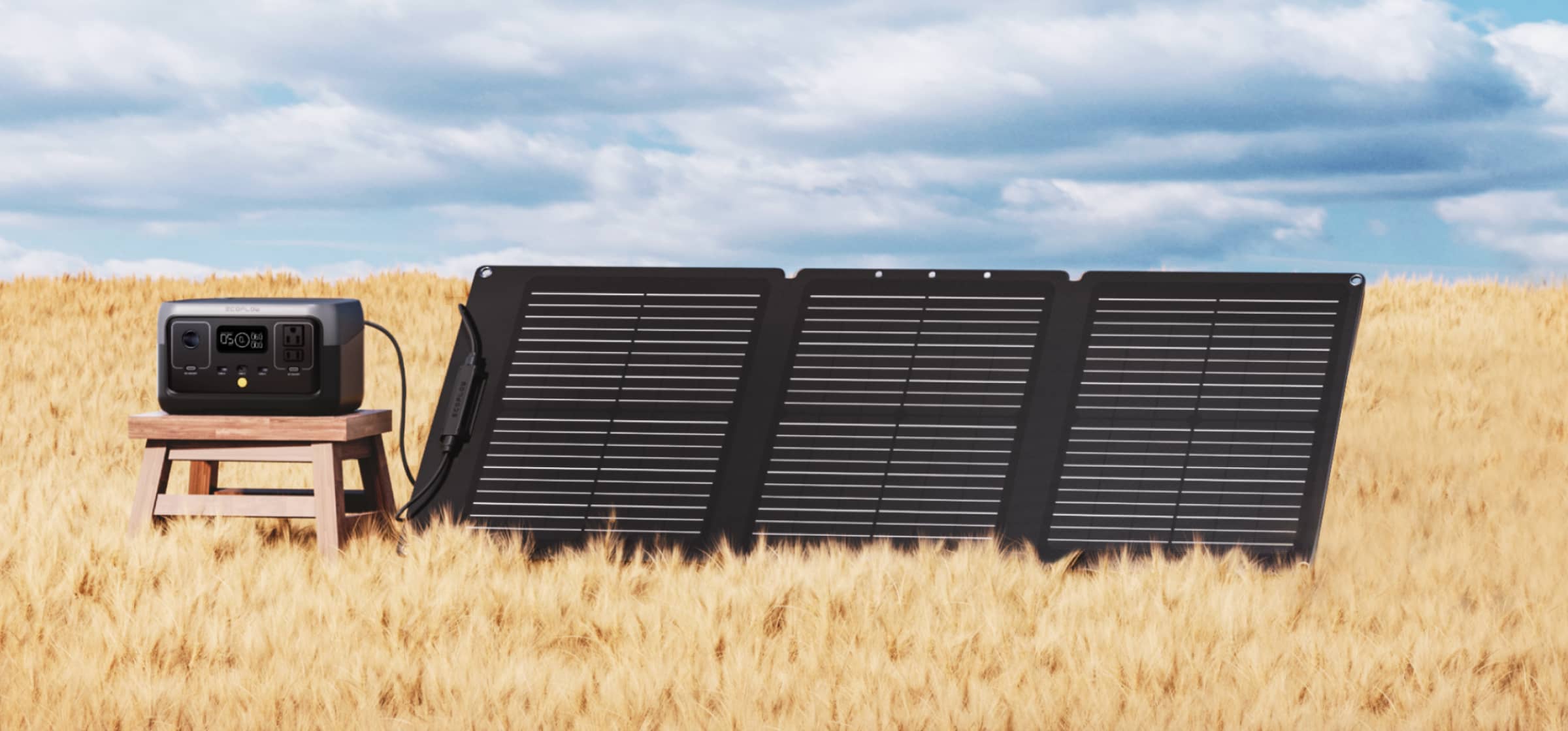 chube Tấm pin năng lượng gấp gọn 60W EcoFlow Solar Panel