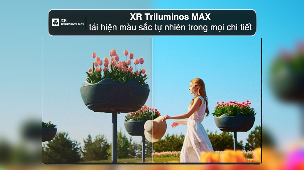 Google Tivi OLED Sony AI 4K 55 inch K-55XR80M2 - Công nghệ hình ảnh Google Tivi OLED Sony AI 4K 55 inch K-55XR80M2 - Công nghệ hình ảnh