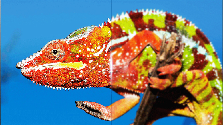 Ai Clarity - Google Tivi TCL 4K 75 inch 75P755 Pro