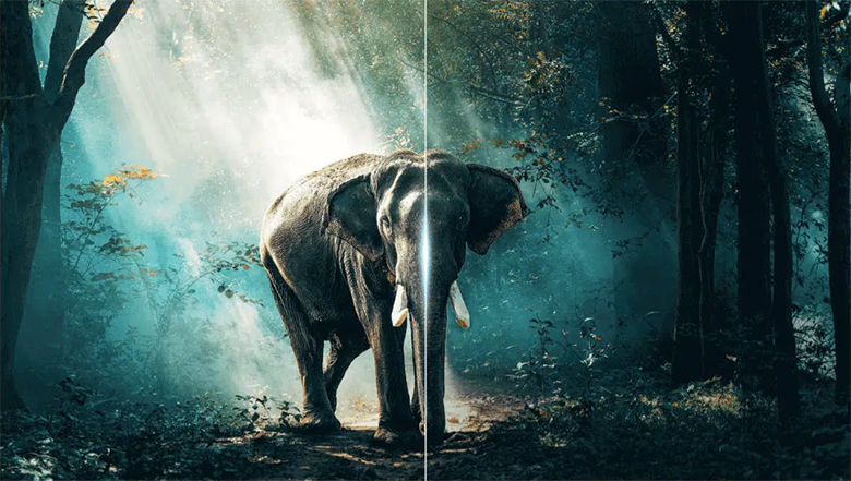 Ai Contrast - Google Tivi TCL 4K 75 inch 75P755 Pro