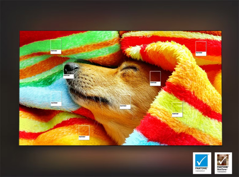 Smart Tivi Neo QLED Samsung AI 4K 85 inch QA85QN70HA - Color Booster Pro và màu sắc chuẩn PANTONE