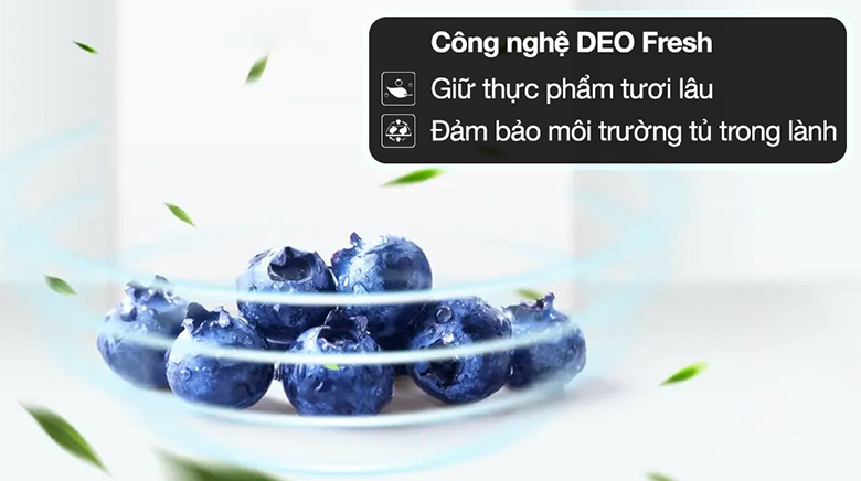 Tủ lạnh Aqua AQR-T260FA (FB) - Công nghệ kháng khuẩn và khử mùi 