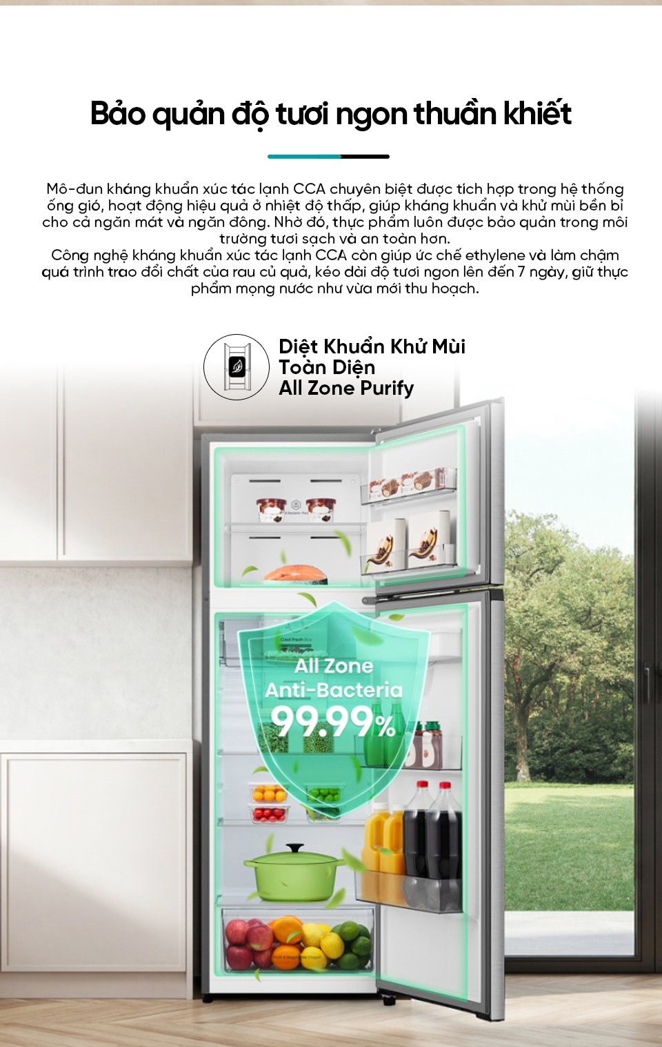 Tủ lạnh Hisense Inverter 251 lít RT251N3AS - Diệt khuẩn, khử mùi All Zone Active Hygiene