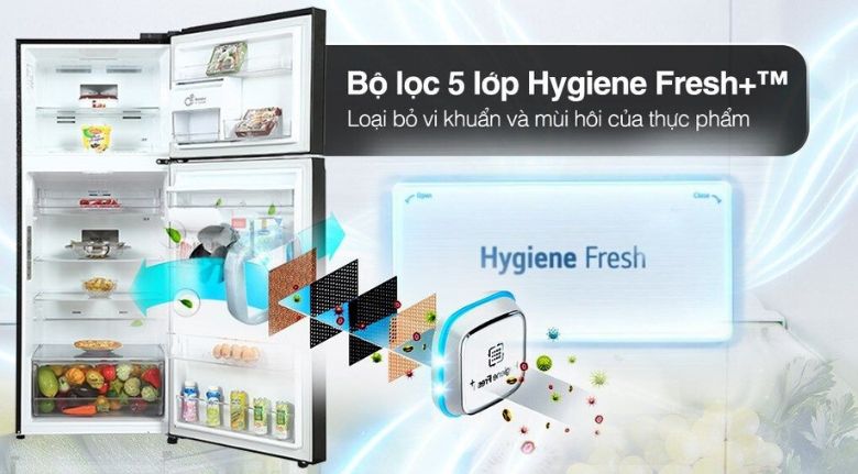 Bộ lọc kháng khuẩn, khử mùi - Tủ lạnh LG Inverter 315 lít LTB31BLM