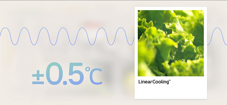 Tủ lạnh LG Inverter 574 lít LFB58BLMA linearcooling