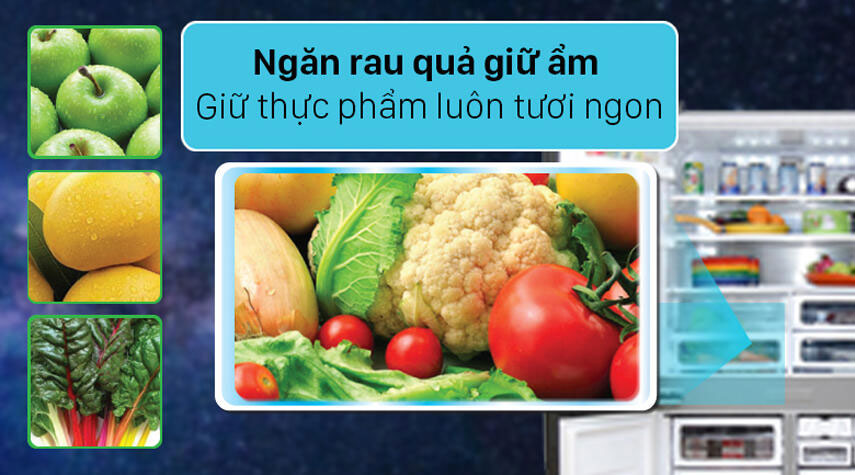 Tủ lạnh 4 cánh có ngăn bảo quản rau củ Tủ lạnh 4 cánh