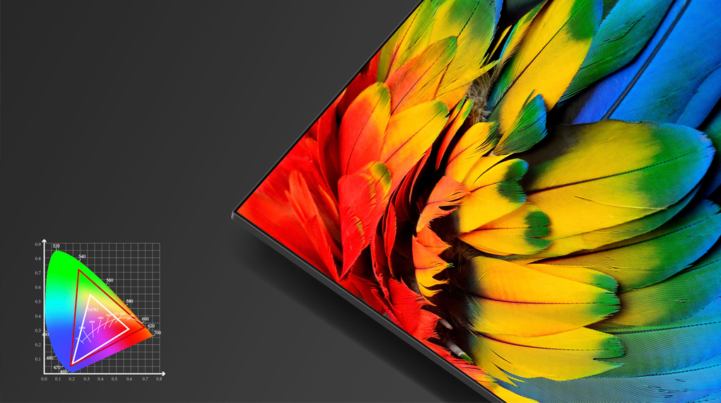 Các công nghệ hình ảnh trên Tivi TCL