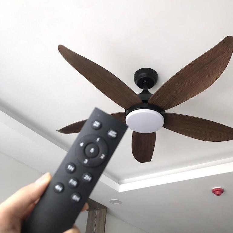 Những lưu ý khi sử dụng quạt trần trong mùa hè