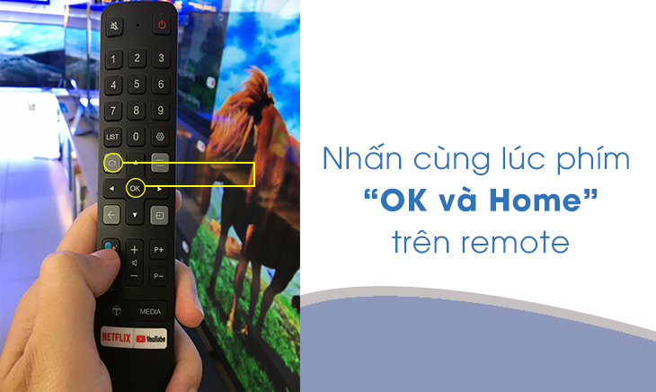Hướng dẫn cách tìm kiếm giọng nói trên tivi TCL
