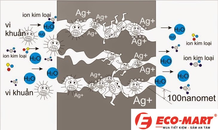 Khám phá công nghệ ion bạc của bình nóng lạnh Ferroli VERDIAG+ 