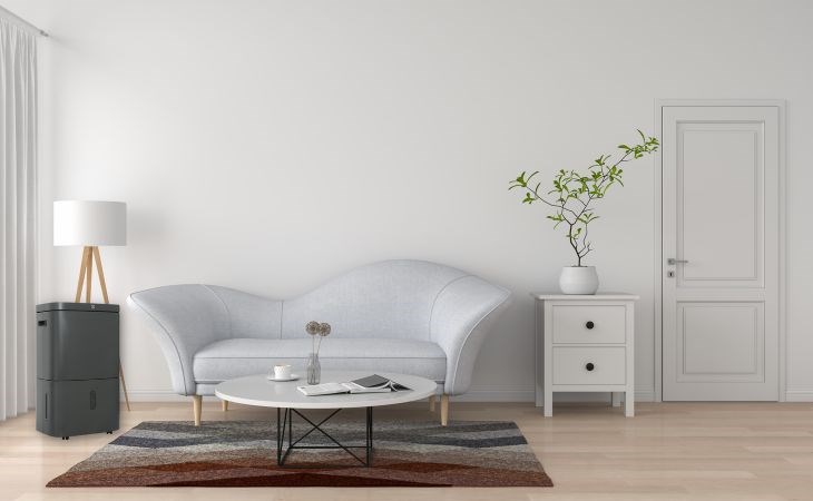 Máy hút ẩm là gì? Những lưu ý khi sử dụng máy hút ẩm