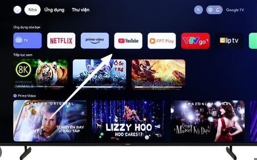 Hệ điều hành Android 10 và Google Tivi Sony: Trải nghiệm tuyệt vời trên màn hình lớn