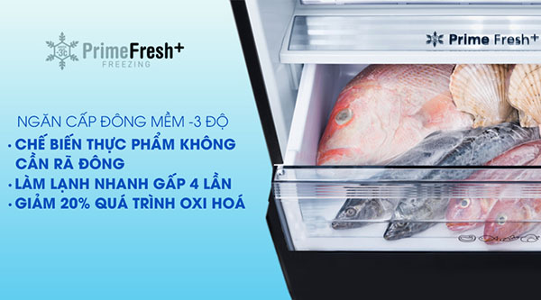 Ngăn cấp đông mềm Prime Fresh+ trên tủ lạnh Panasonic là gì? Công dụng