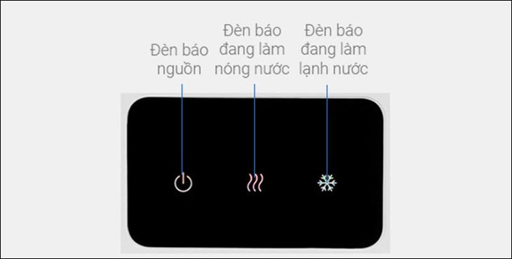 8 công dụng cây nước nóng lạnh mà bạn nên biết