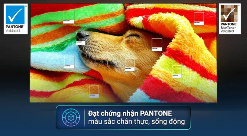 Smart Tivi QLED 4K 98 inch Samsung QA98Q80C - Trải Nghiệm Hình Ảnh và Âm Thanh Đỉnh Cao