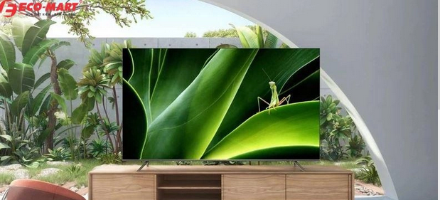 Top 5 tivi TCL bán chạy nhất 9 tháng đầu năm 2023 tại Eco-mart