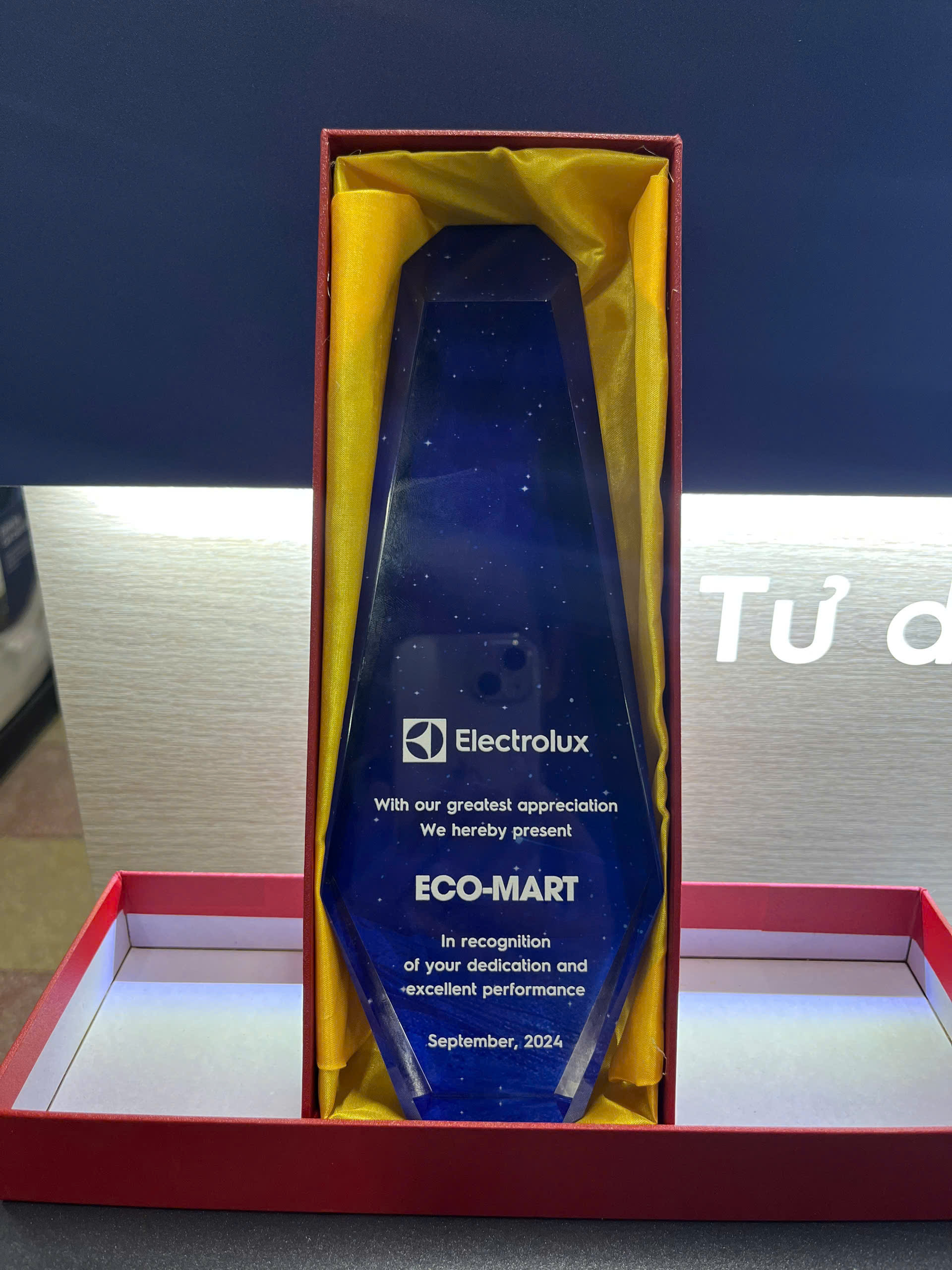 ECO-MART là đại lý xuất sắc của Electrolux năm 2024