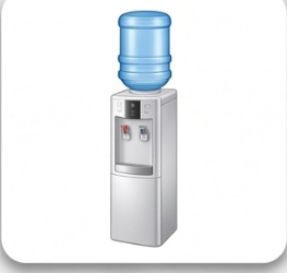 Cây nước Úp Bình