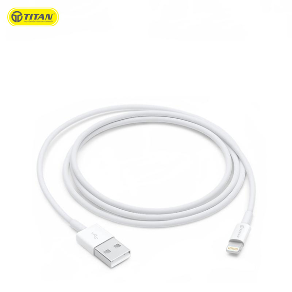 Cáp TITAN Lightning CA25 (1m)
