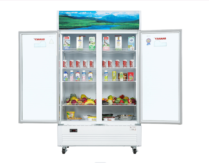 Tủ mát 2 cánh Sanaky 1100 lít VH-1209HP