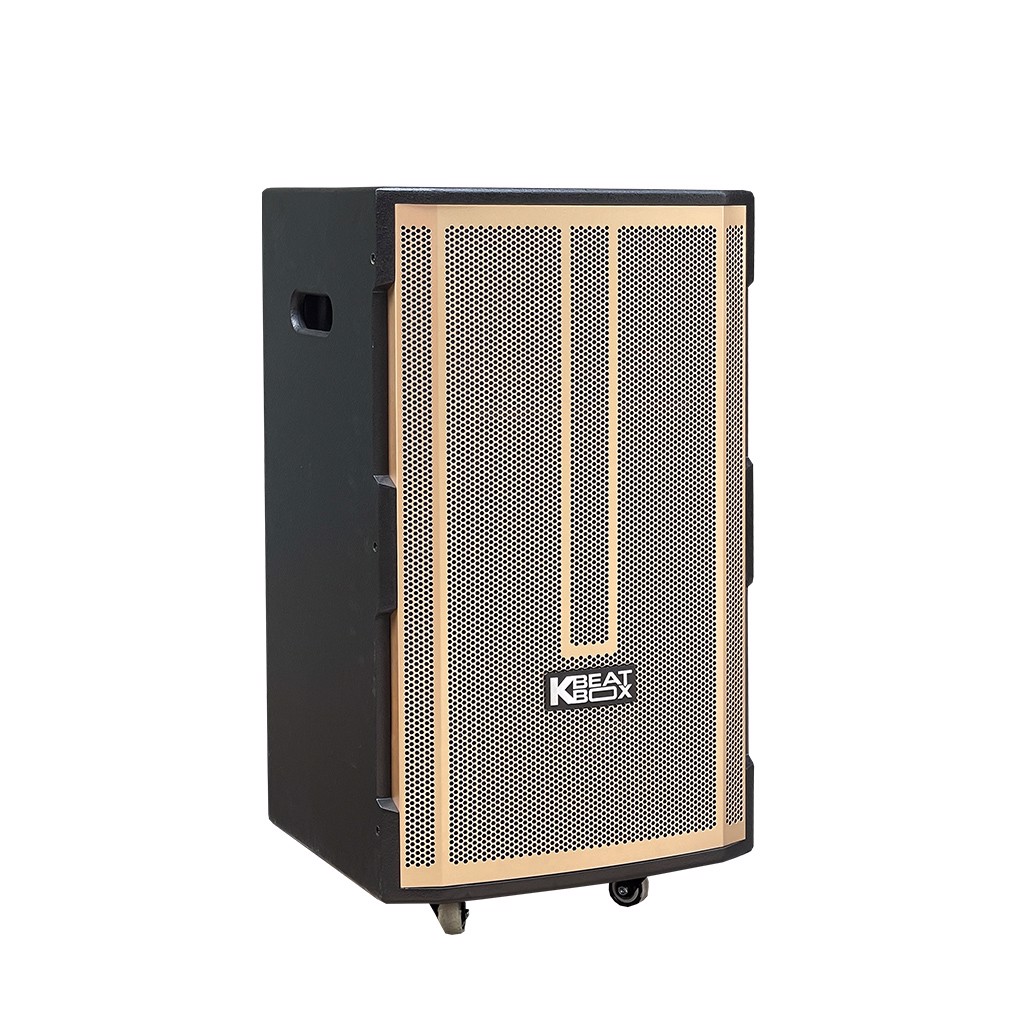 Loa kéo ACNOS CB392G 100W Bass 4 tấc (40cm) + Loa Treble