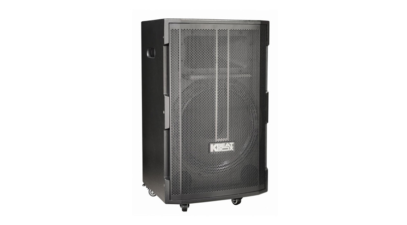 Loa kéo ACNOS CB39D Bass 40cm, 100W