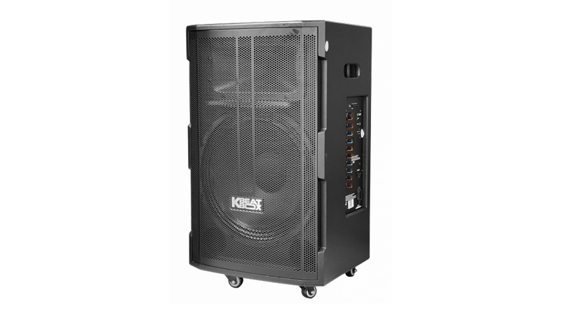 Loa kéo ACNOS CB39D Bass 40cm, 100W