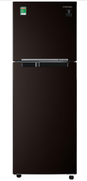 Tủ lạnh Samsung RT22M4032BY/SV Inverter 236 lít
