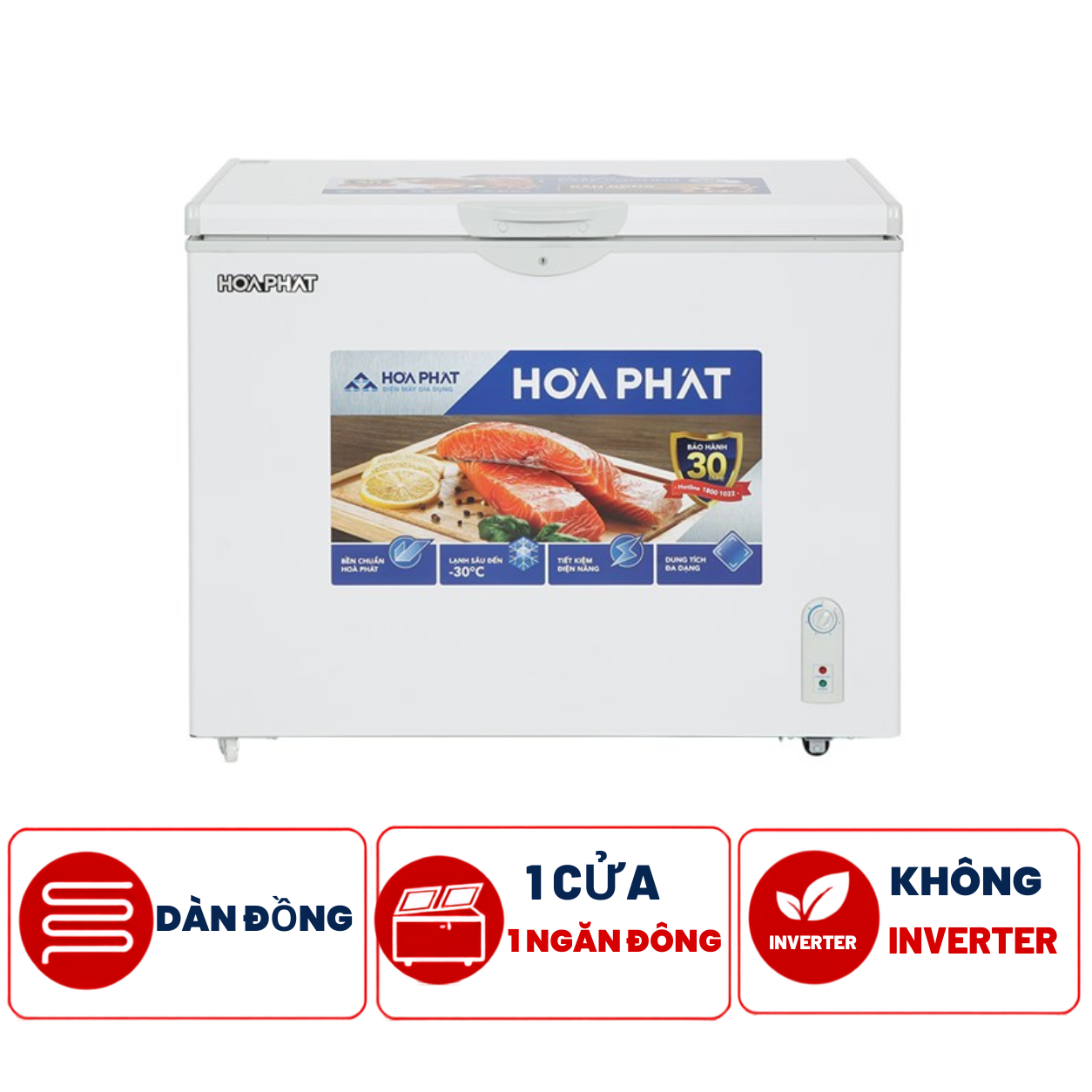 Tủ đông Hòa Phát HPF AD6252 252 lít