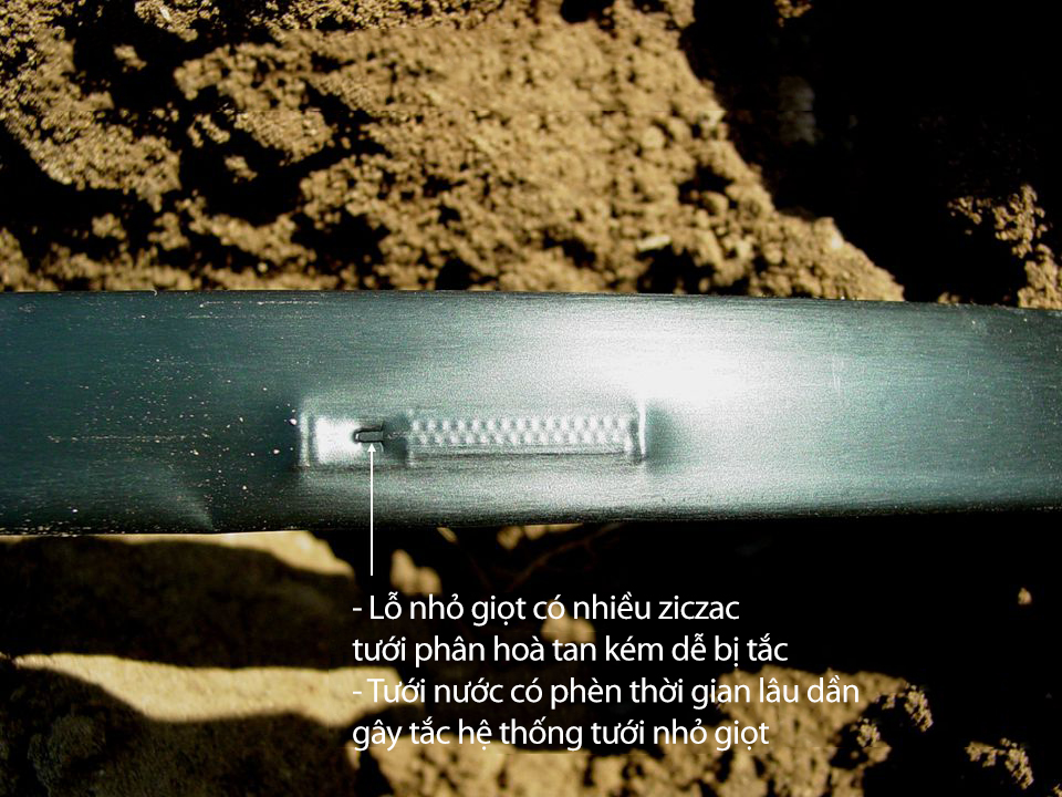 NHỮNG NGUY CƠ CỦA HỆ THỐNG TƯỚI NHỎ GIỌT NHỮNG NGUY CƠ CỦA HỆ THỐNG TƯỚI NHỎ GIỌT