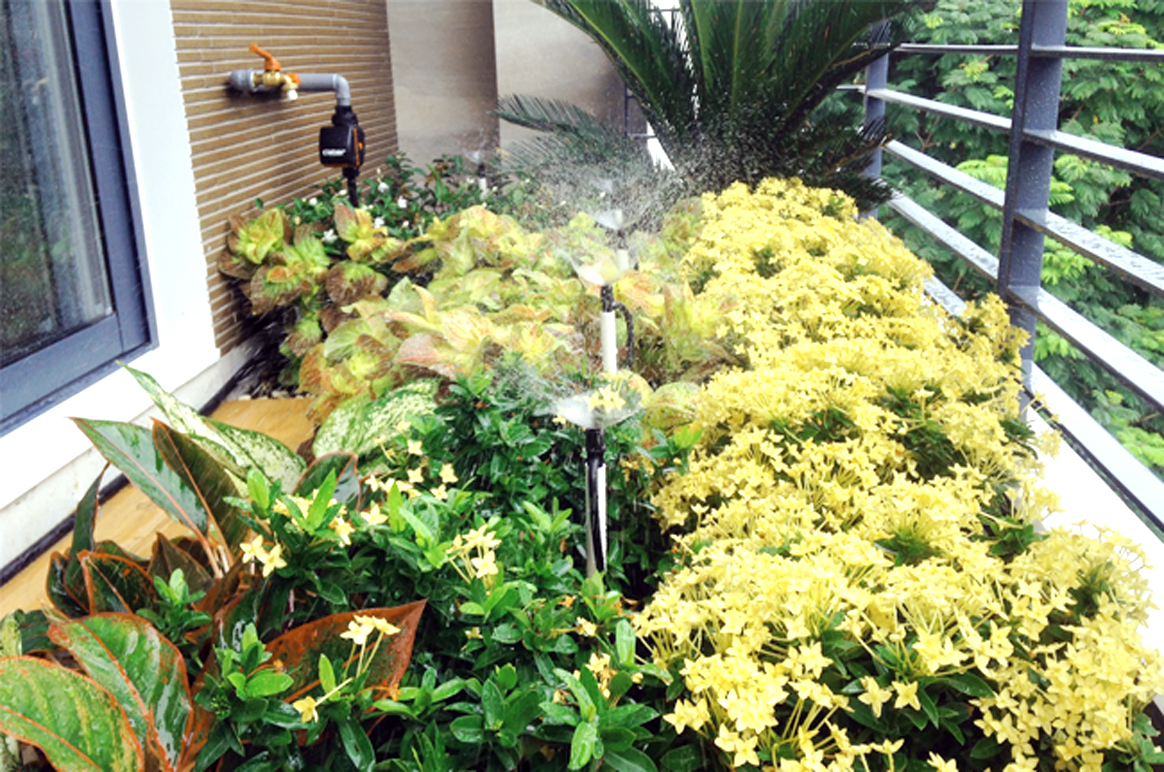 GIẢI PHÁP TƯỚI TỰ ĐỘNG CHO NHÀ PHỐ ĐƠN GIẢN, TIẾT KIỆM GIẢI PHÁP TƯỚI TỰ ĐỘNG CHO NHÀ PHỐ ĐƠN GIẢN, TIẾT KIỆM