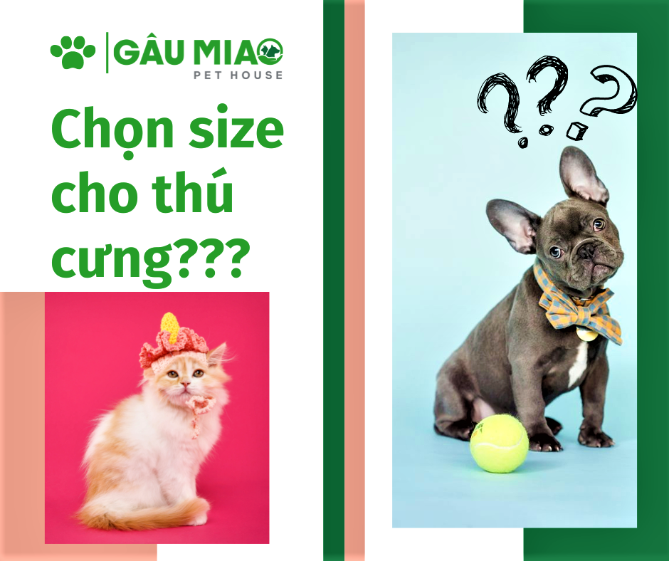 Hướng dẫn chọn size áo cho chó mèo