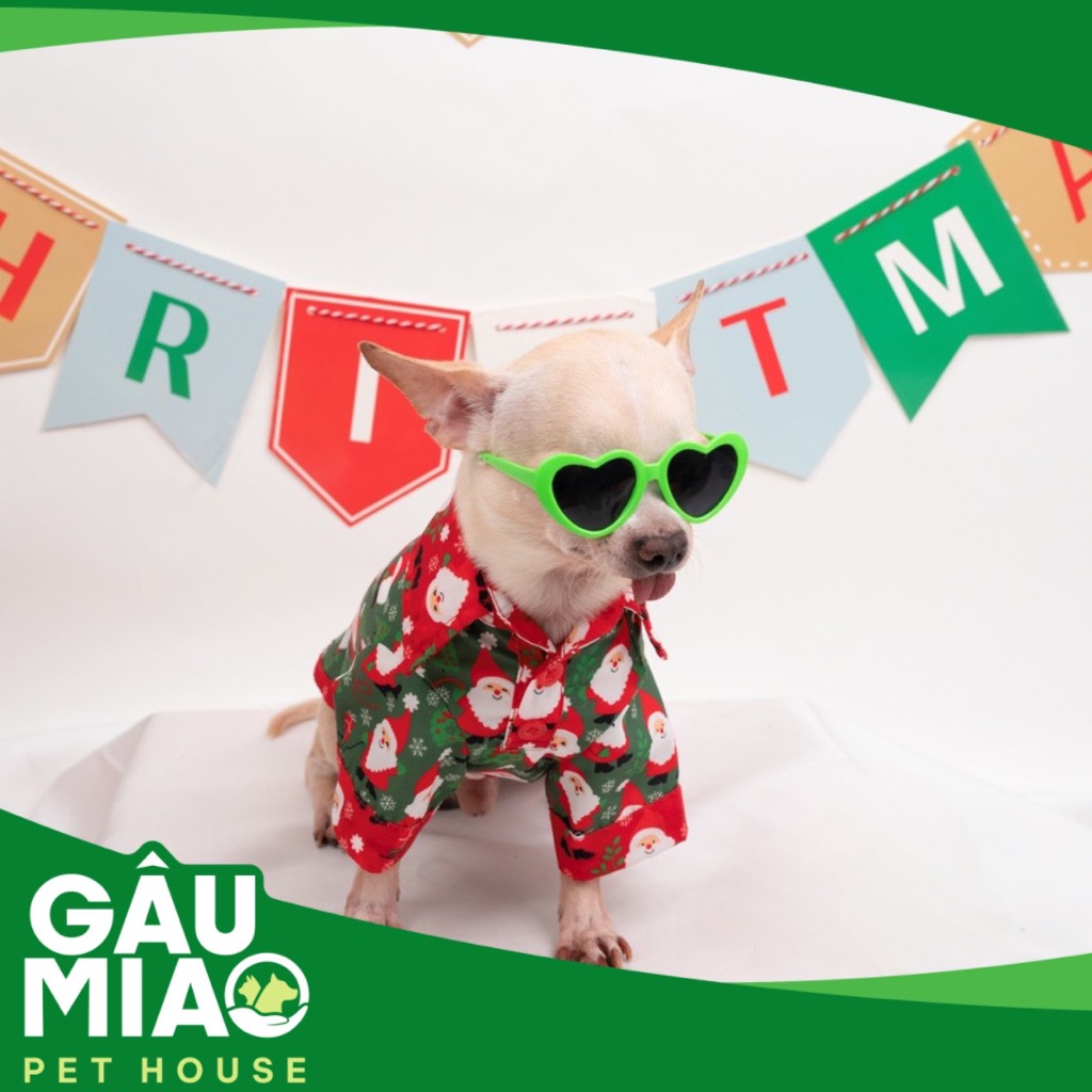 YuDog Áo sơ mi Noel - Xanh