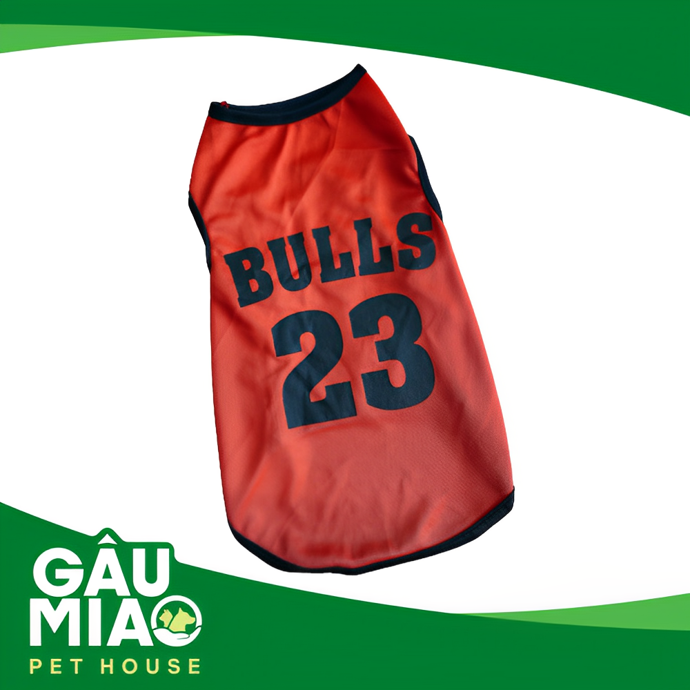 Áo TSN DM - BULLS 23