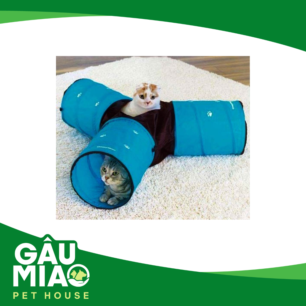 CattyMan Lồng chui cho mèo