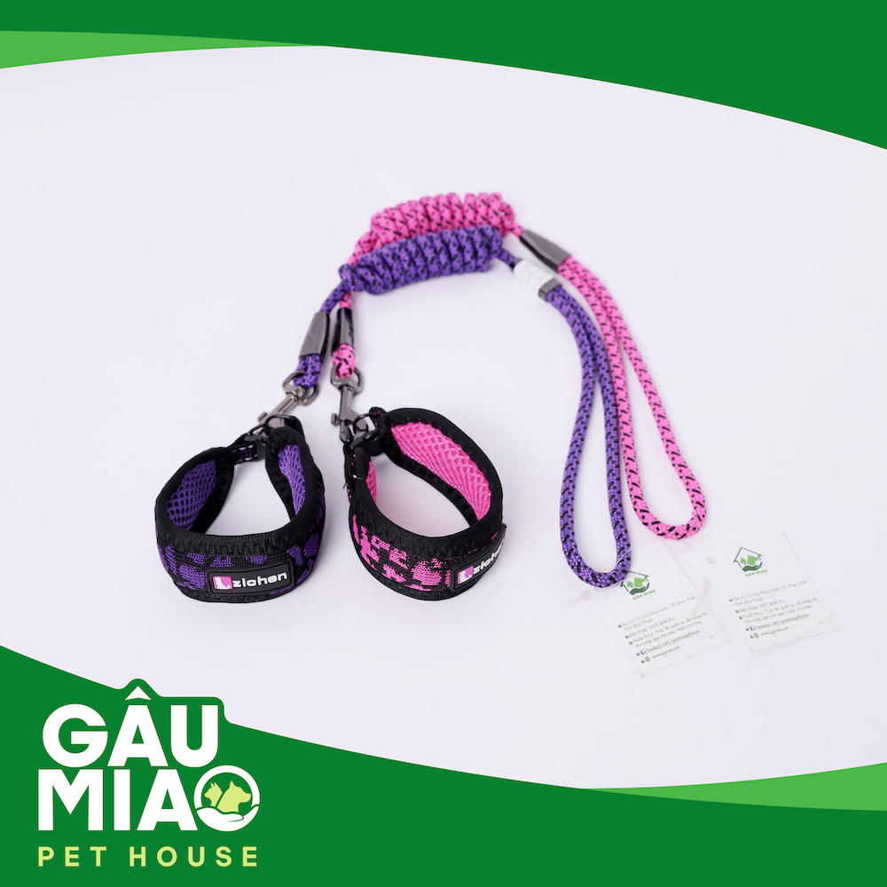 Bộ vòng cổ bản lớn+dây dắt Zichen ZC1751 s.S