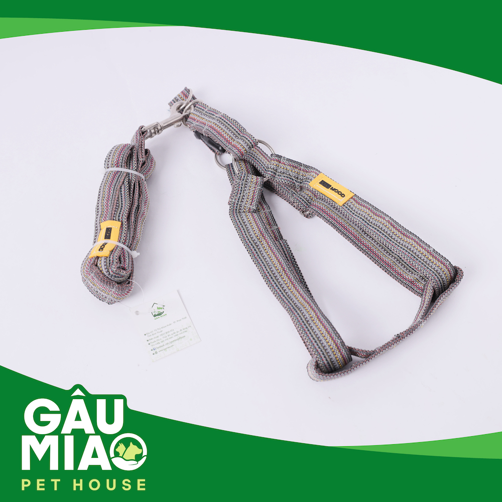 Bộ dây trợ lực+yếm dắt sọc màu s.XL-2.5cm