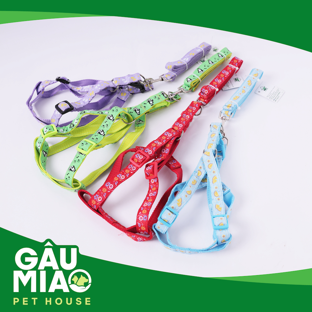 Bộ dây dắt+yếm in hình