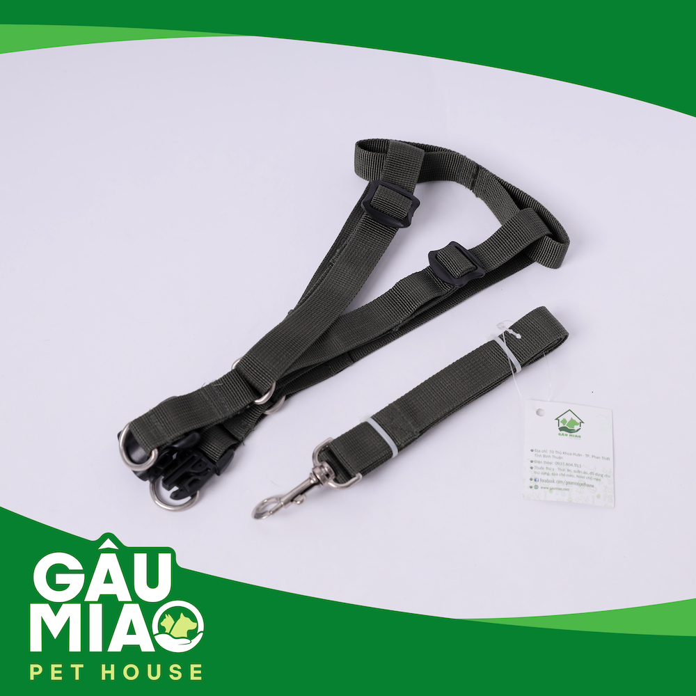 Dây dắt+yếm xanh QĐ 2.0cm