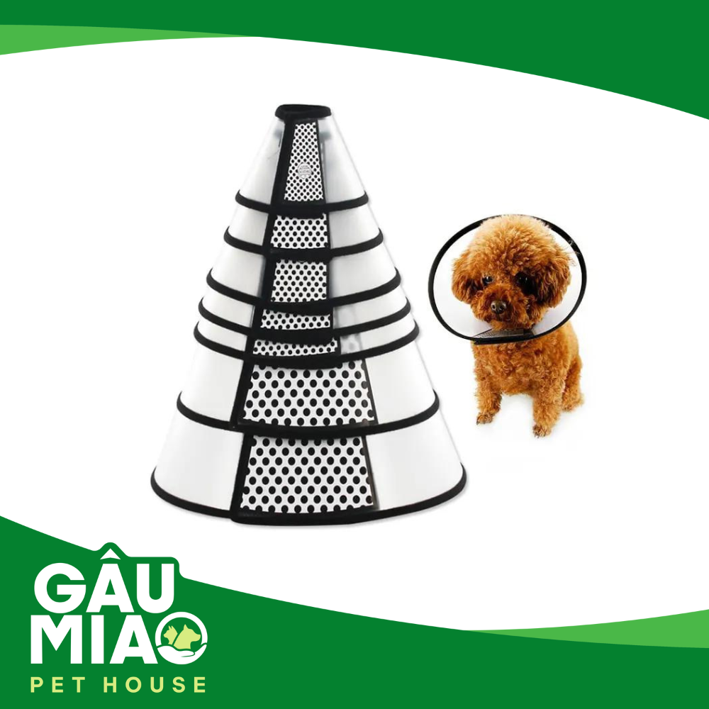 Vòng chống liếm Diamond