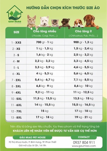 YuDog Áo sơ mi Noel - Xanh