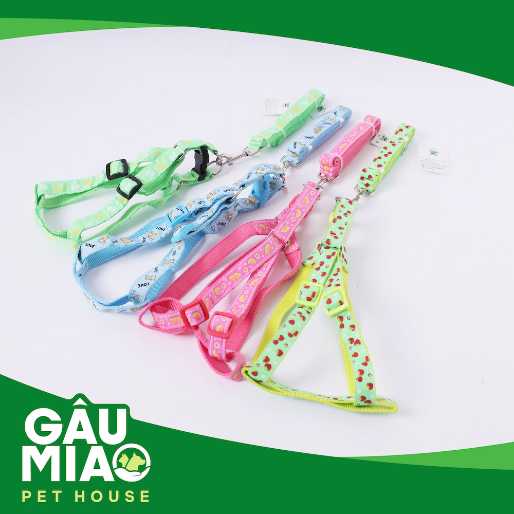 Bộ dây dắt+yếm in hình