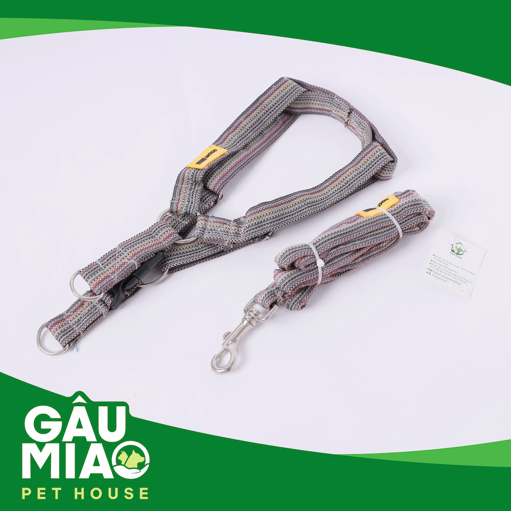 Bộ dây trợ lực+yếm dắt sọc màu s.XL-2.5cm