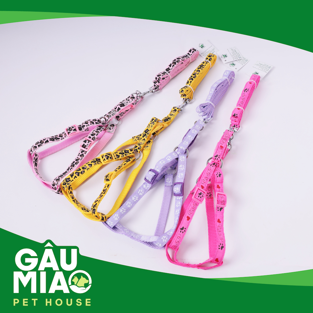 Bộ dây dắt+yếm in hình